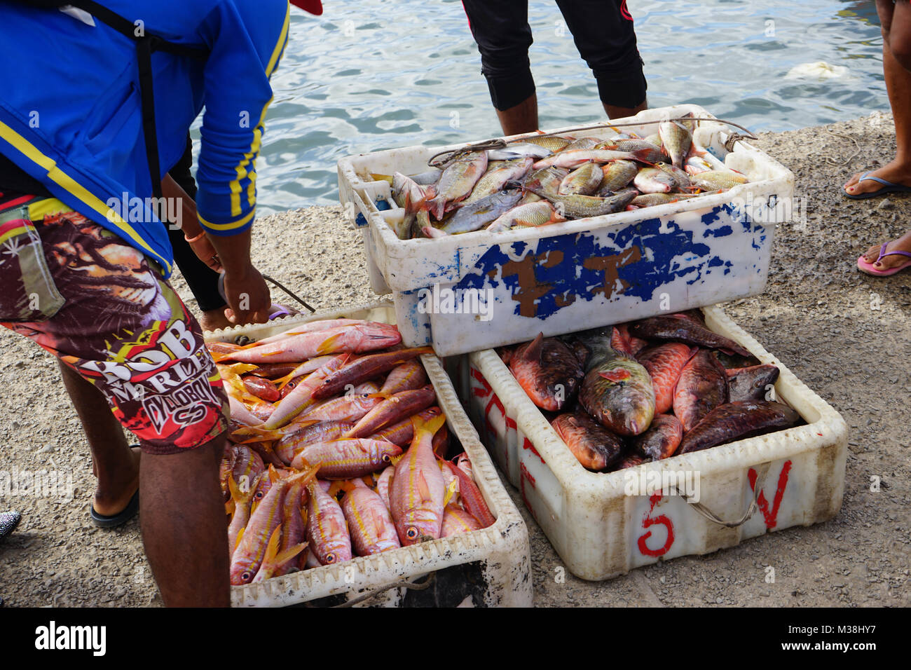 Boxen mit Fisch, stehend auf dem Bootssteg in Mindelo Hafen Stockfoto