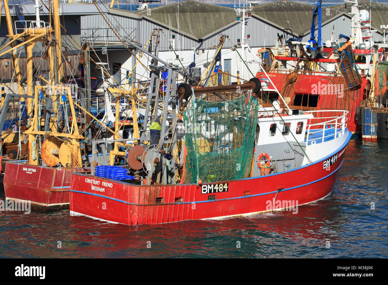 Kommerzielle Fischerei, Boote, Brixham Fischmarkt, South Devon, England, Großbritannien Stockfoto