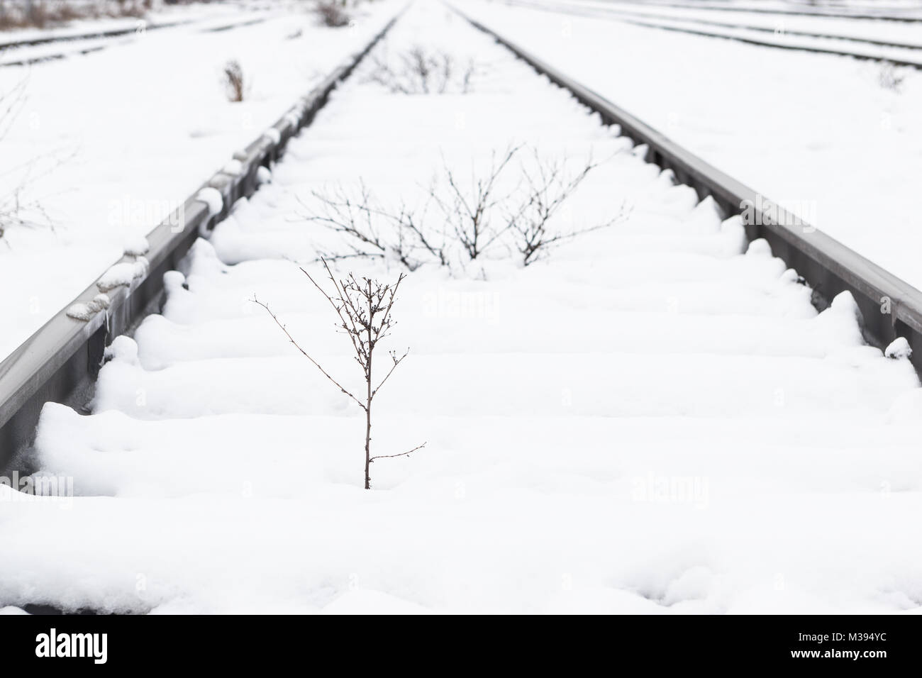 Zug schienen, Anschluss mit Schnee im Winter abgedeckt. Stockfoto