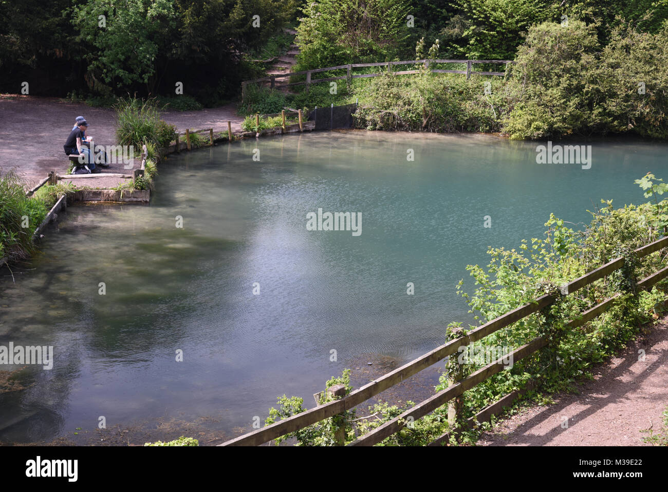 Silent pool Albury in der Nähe von Guildford Surrey Stockfoto