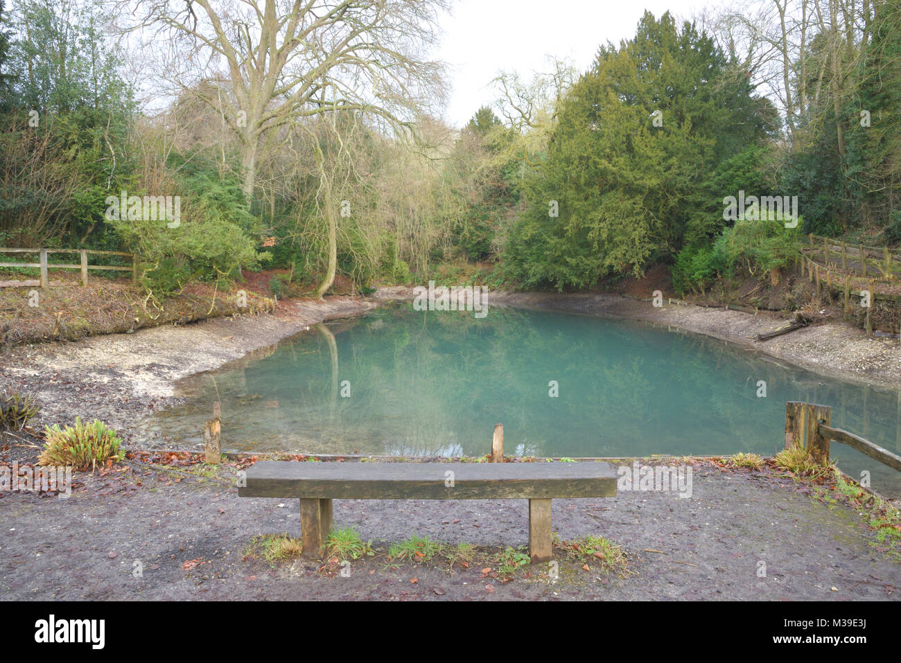 Silent pool Albury in der Nähe von Guildford Surrey Stockfoto