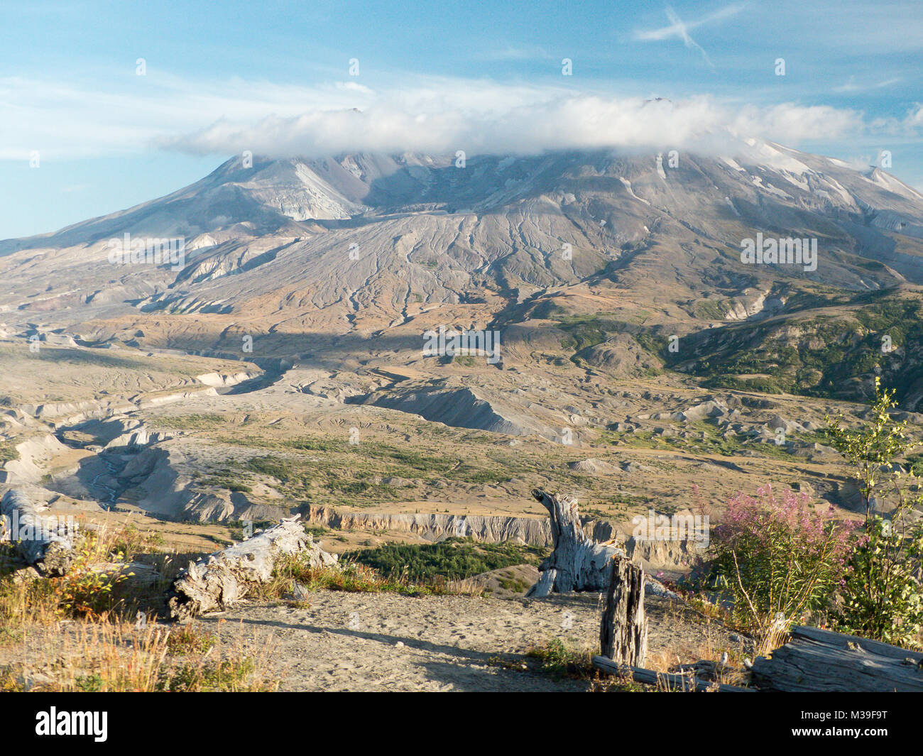 Der Vulkan Mount St. Helens im Staat Washington Stockfotografie Alamy