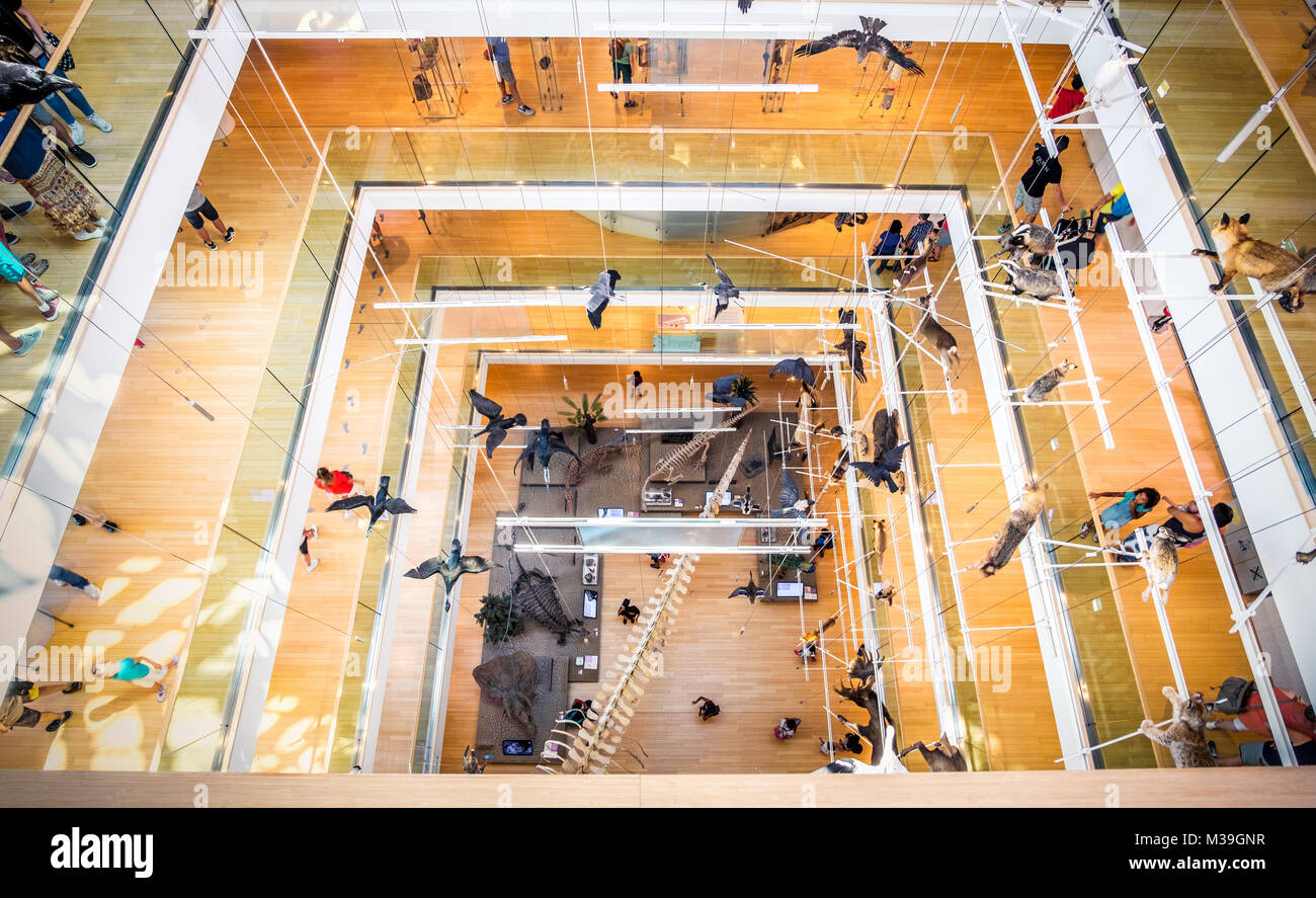 Sie suchen moderne Treppenhaus MuSe - Trient - Italien Stockfoto