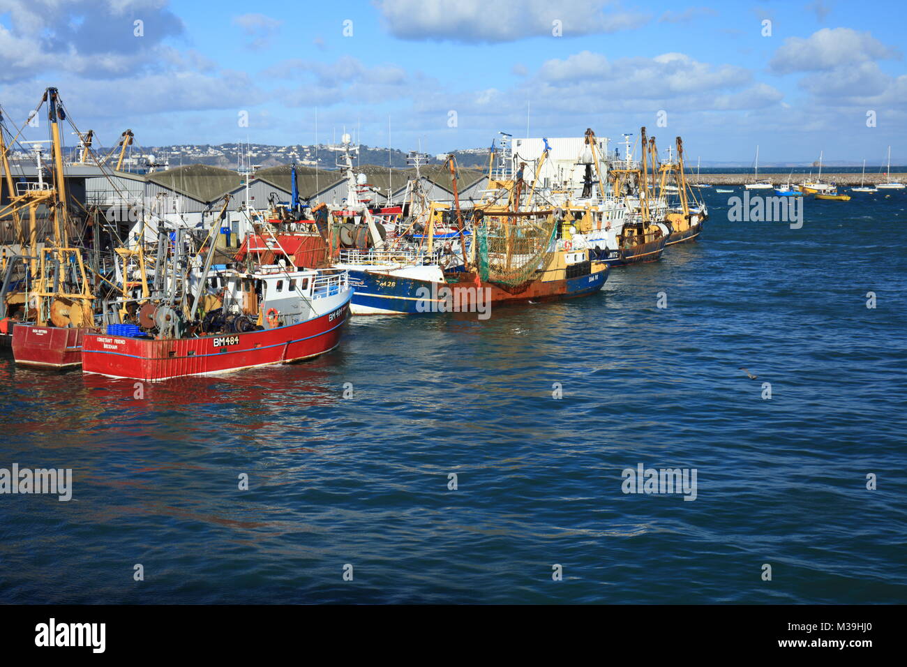 Kommerzielle Fischerei, Boote, Brixham Fischmarkt, South Devon, England, Großbritannien Stockfoto