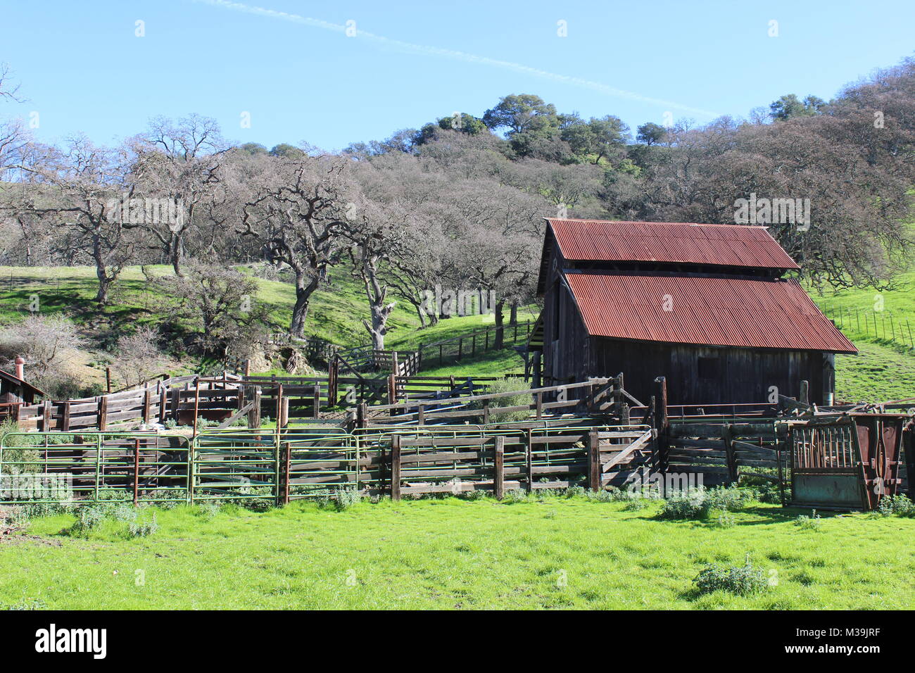 Pferd Scheune, Borges Ranch, Walnut Creek, Kalifornien Stockfoto