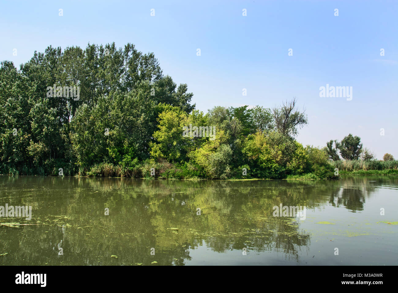 Great River Streit ruhig und gemächlich fließt durch die Ebene. Stockfoto