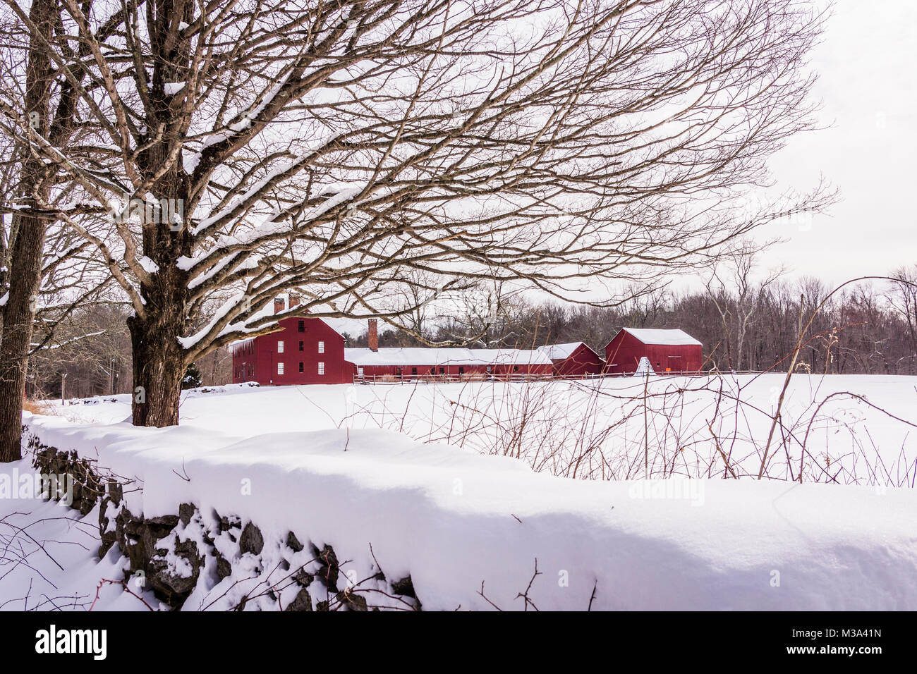 Nathan Hale Homestead Coventry, Connecticut, USA Stockfoto