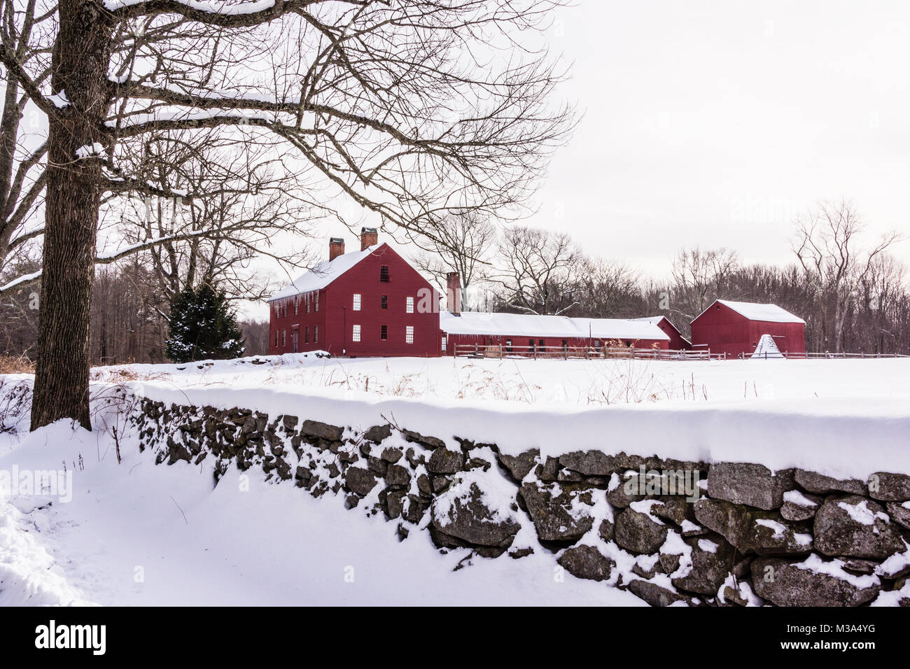 Nathan Hale Homestead Coventry, Connecticut, USA Stockfoto