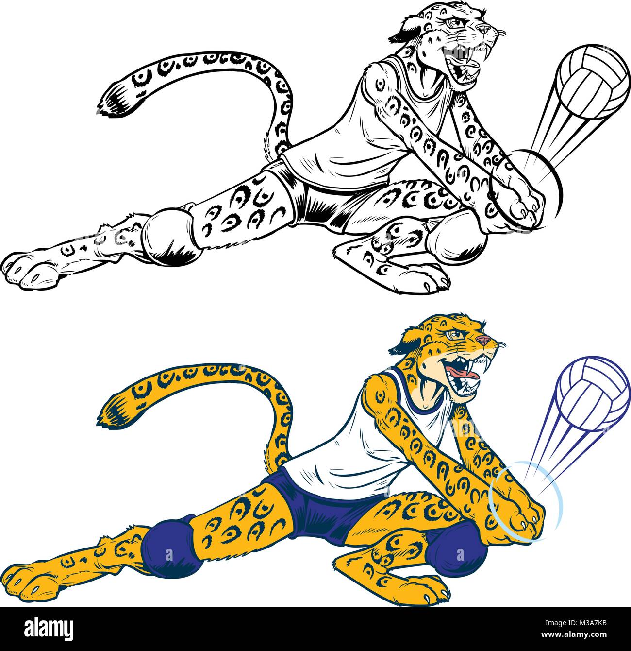 Vektor cartoon Clipart Illustration einer Dame Wildcat, Leopard oder Jaguar Volleyballspieler Maskottchen ein Graben. Charakter, Kugel, und einheitlich sind auf Stock Vektor