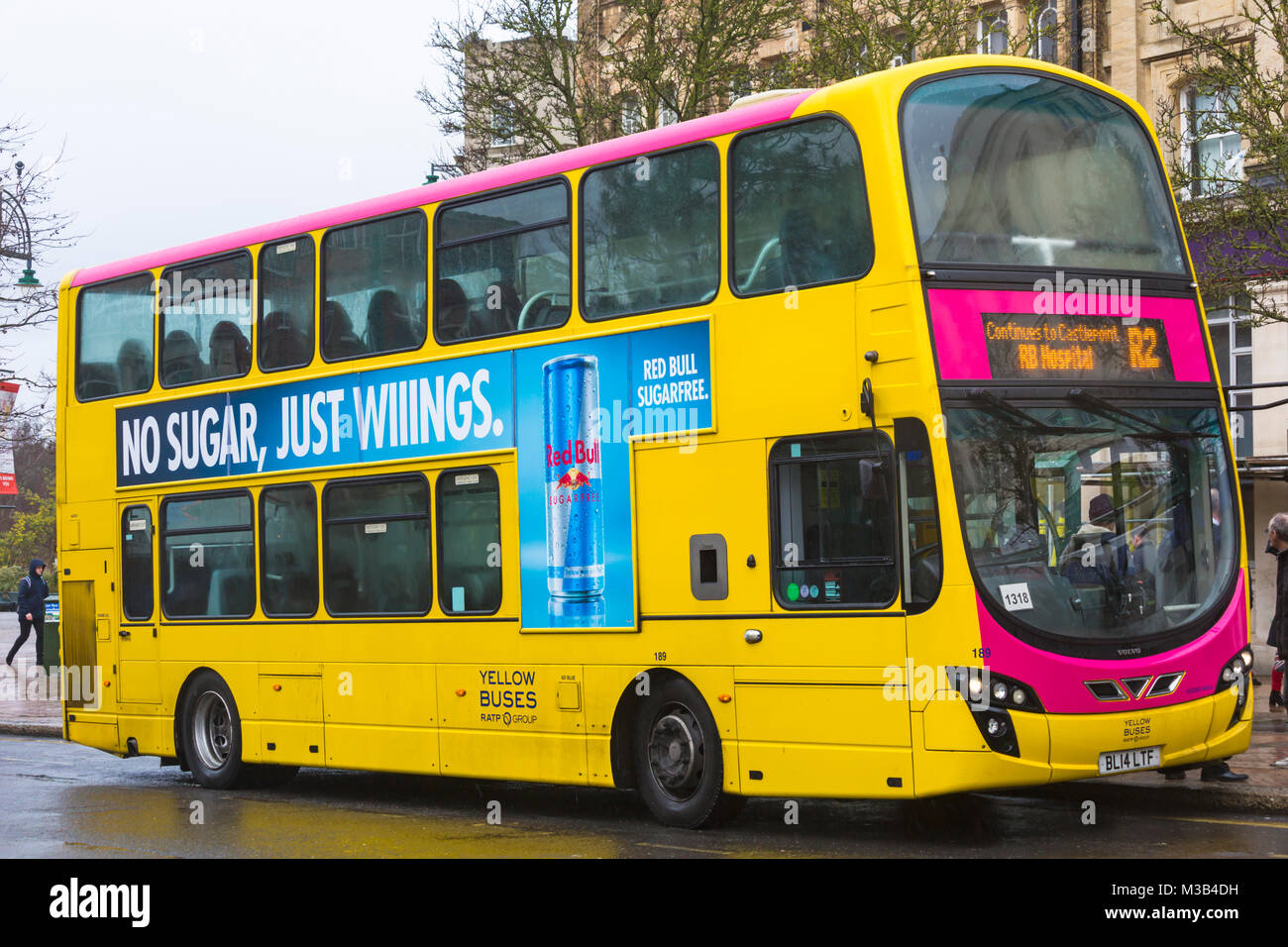 Bournemouth, Dorset, Großbritannien. 10. Februar, 2018. Gelbe Busse mit einem Hauch von Rosa und ihre Busse hinzugefügt - könnte es für Valentines Tag sein? Credit: Carolyn Jenkins/Alamy leben Nachrichten Stockfoto