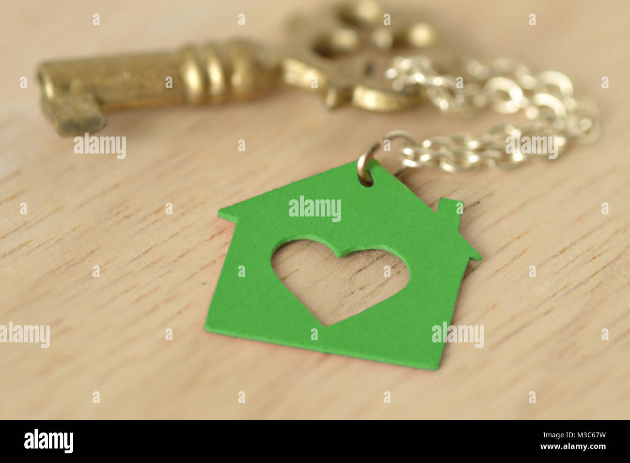 Schlüssel mit einem Schlüsselanhänger in Form eines Green House - Liebe für Home- und Ökologiekonzept Stockfoto
