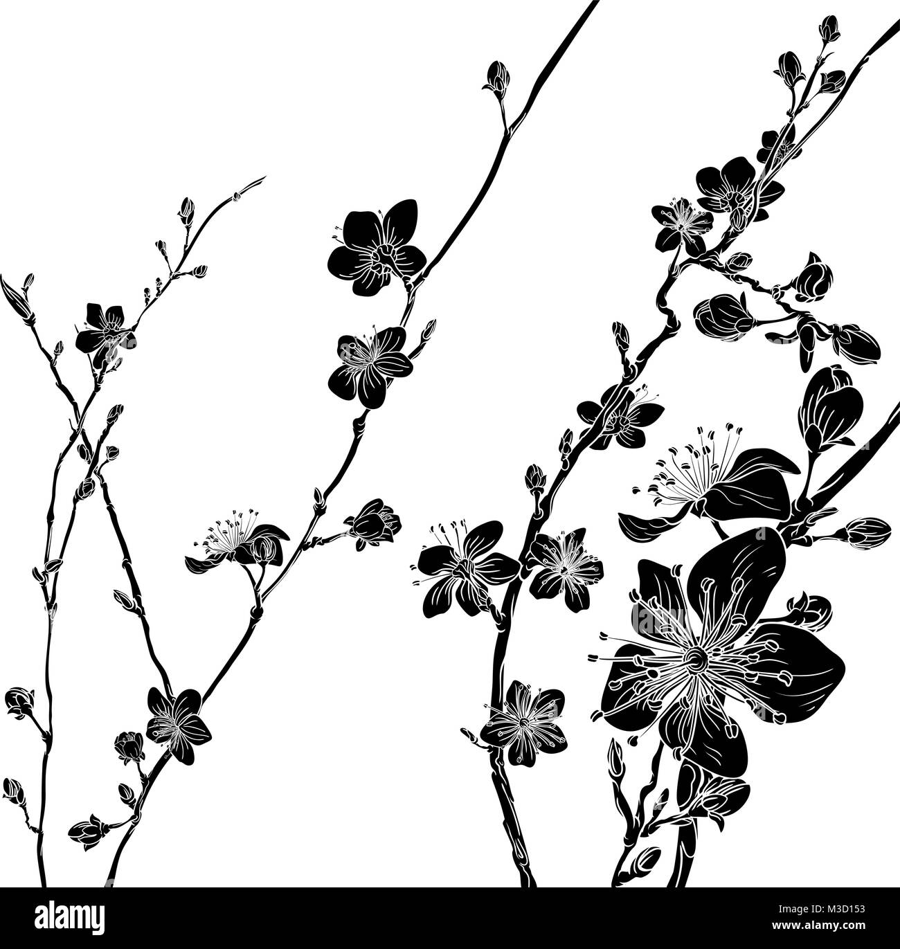 Pfirsich Cherry Blossom Flowers Background Pattern Stock Vektor