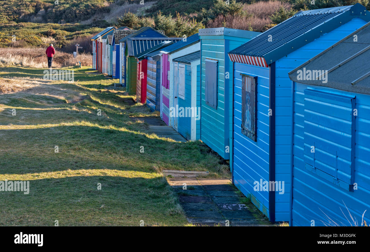 HOPEMAN Moray in Schottland WINTER BEACH Szene mit Reihen von bunten Badekabinen und WALKER Stockfoto