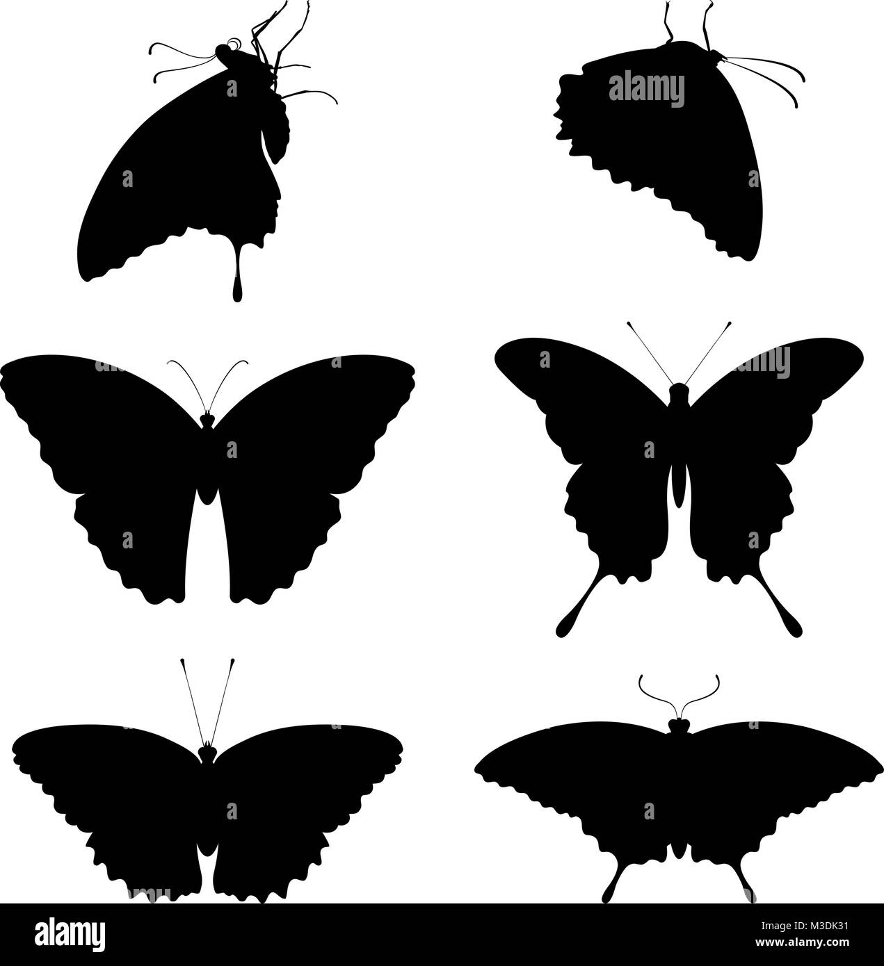 Silhouetten der Schmetterlinge auf weißem Hintergrund Stock Vektor