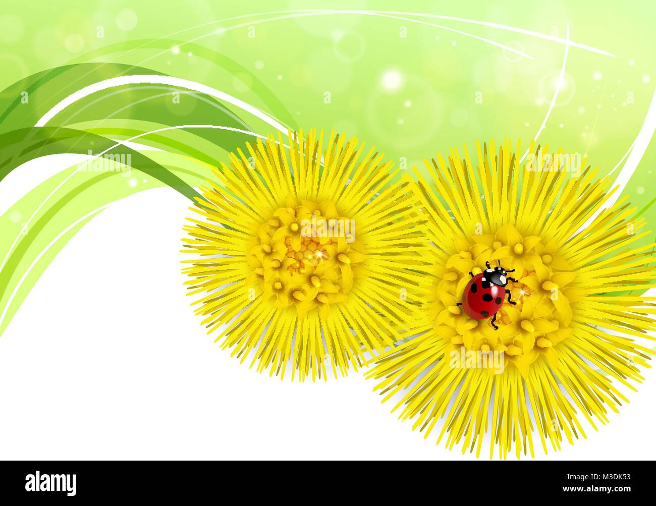 Spring floral background mit huflattich und Marienkäfer Stock Vektor