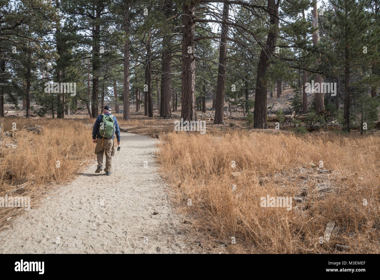 Männliche ältere Wanderer trägt einen Rucksack und eine Kamera auf dem Weg durch den Mount San Jacinto State Park in Idyllwild, Kalifornien Stockfoto