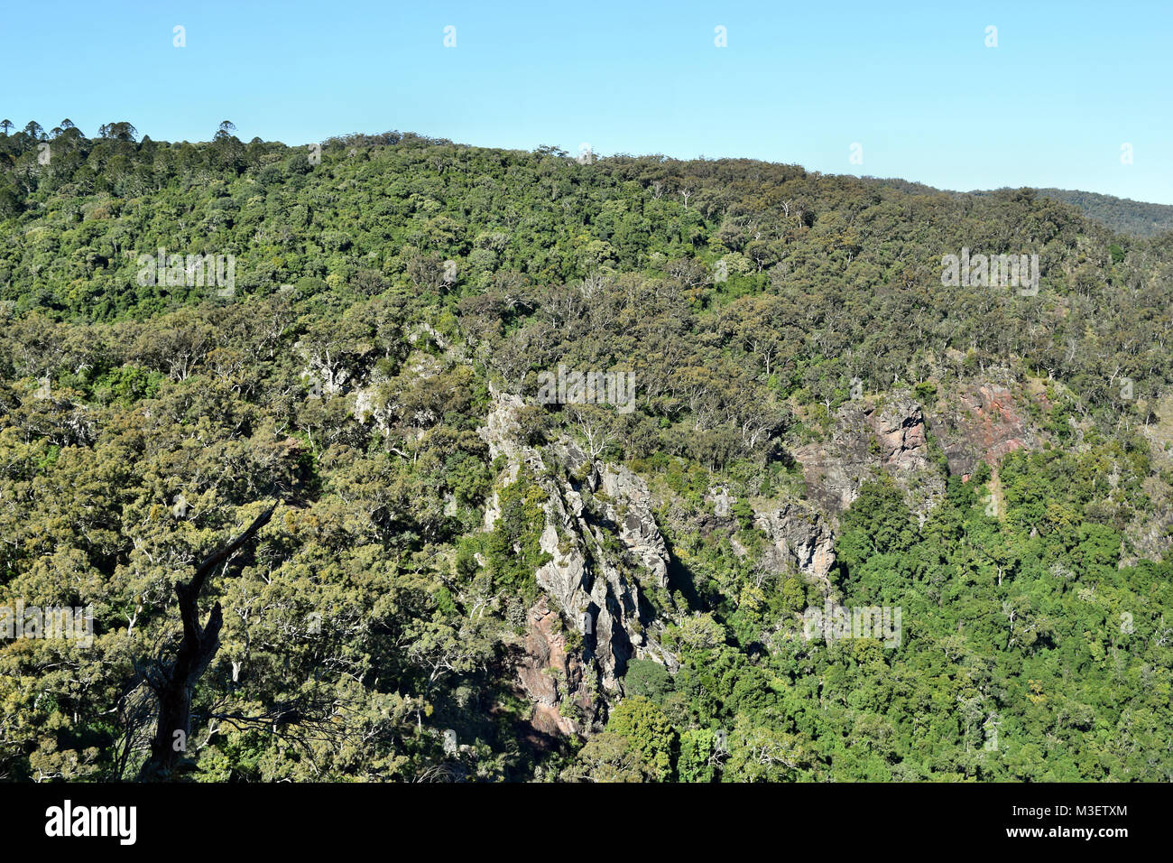 Landschaft in Bunya Nationalpark, Queensland, Australien. Stockfoto