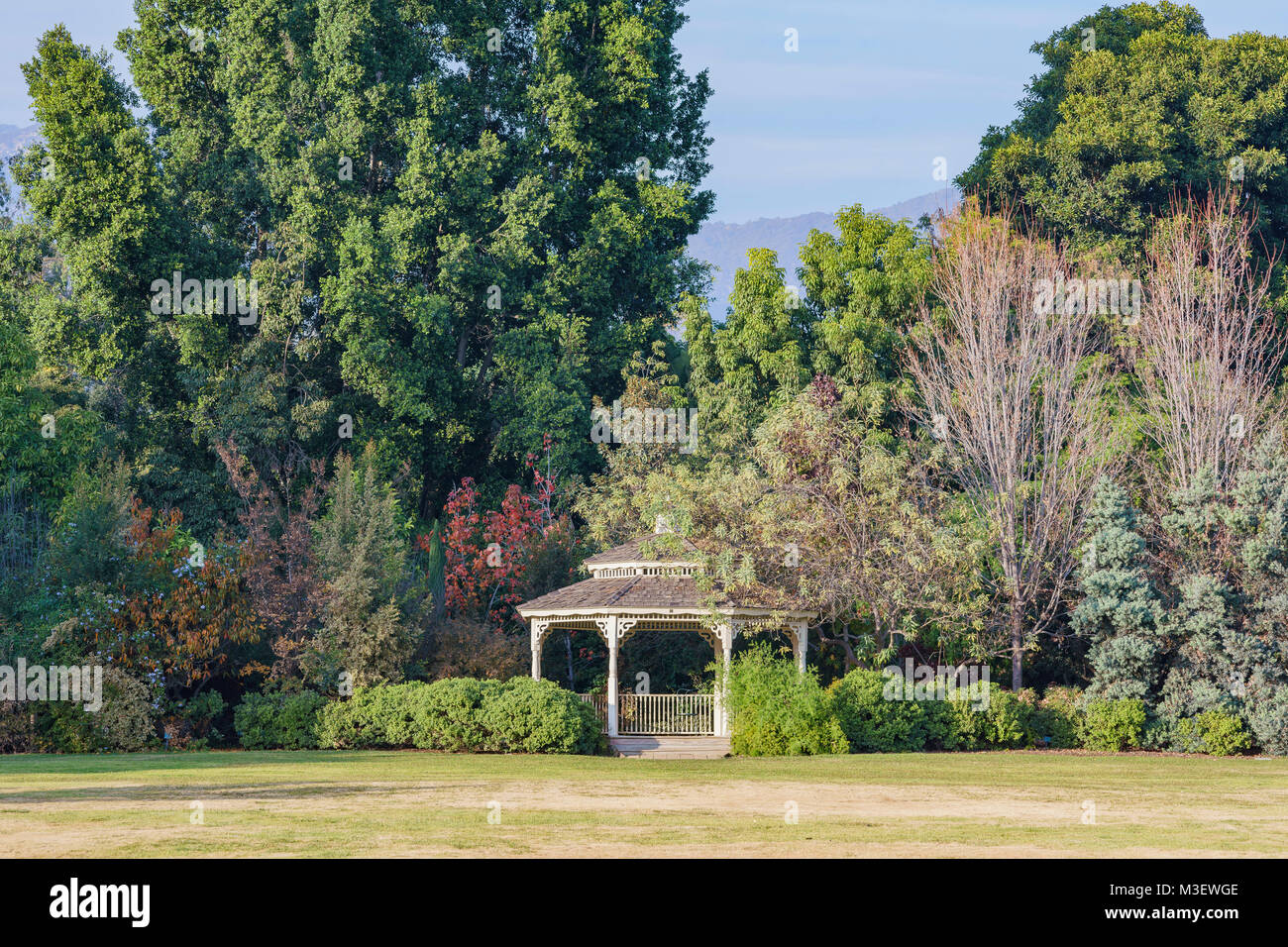 Natur Pfad an einem sonnigen Tag in Los Angeles County Arboretum & Botanischer Garten Stockfoto
