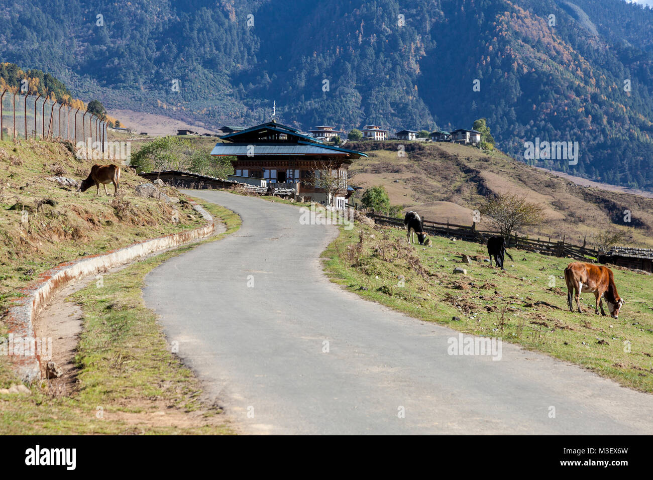 Phobjikha, Bhutan. Nähert sich Dorf Kikorthang. Stockfoto
