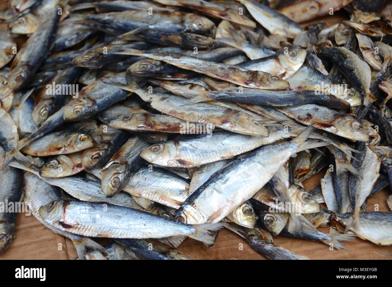 Ein Haufen von Fisch auf dem Markt Stockfoto