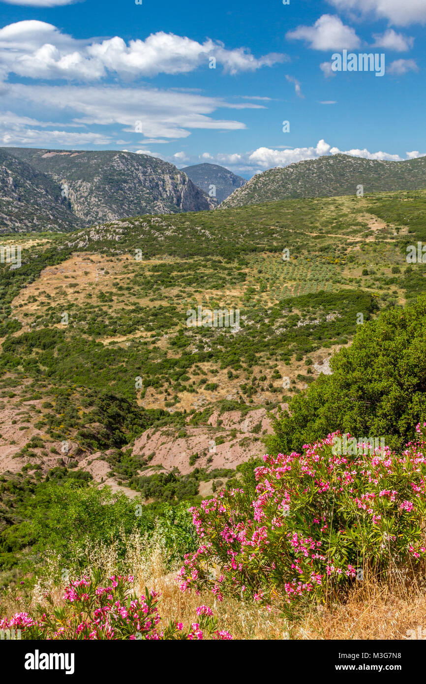 Bergige Landschaft in Böotien region, Zentral Griechenland, direkt vor der byzantinischen Kloster Osios Loukas, in Griechenland. Stockfoto