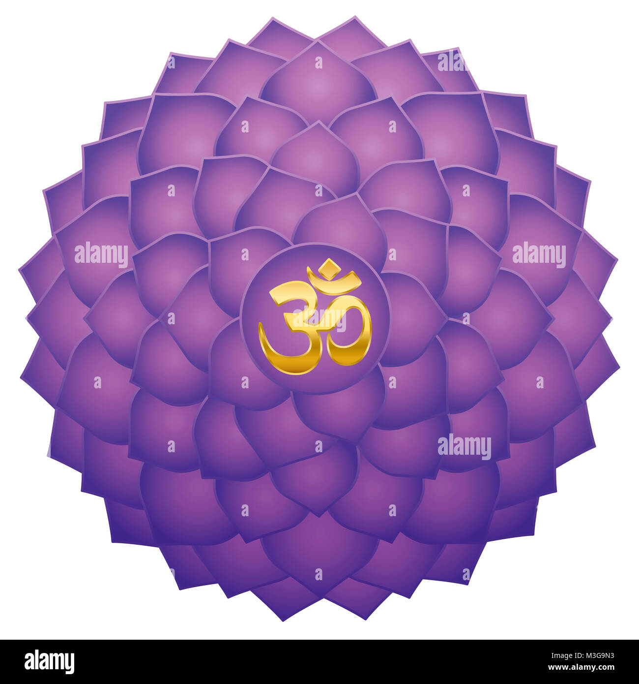 Kronenchakra mit Aum oder Om Symbol in der Mitte. Tausend blättrige Lotus oder lila Sahasraha. Spirituelle Heilung Symbol. Stockfoto