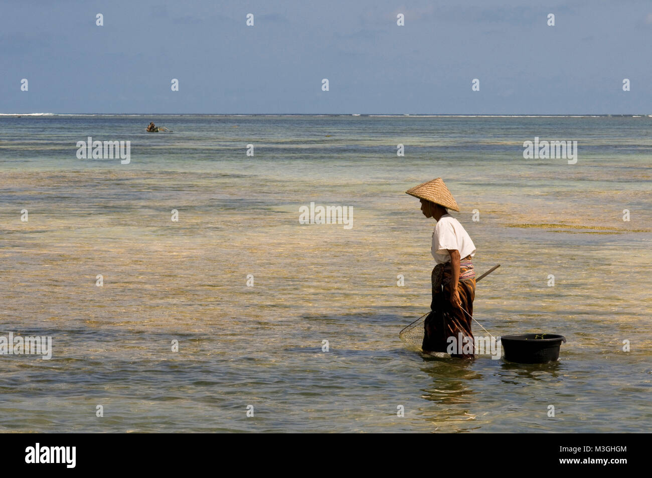 Frauen oft zu Fuß entlang der Küste von Kuta Beach, ein Fischer im Süden von Lombok, auf der Suche nach Seetang, die für das Kochen sehr geschätzt wird. Kuta Lombok Indonesien Stockfoto