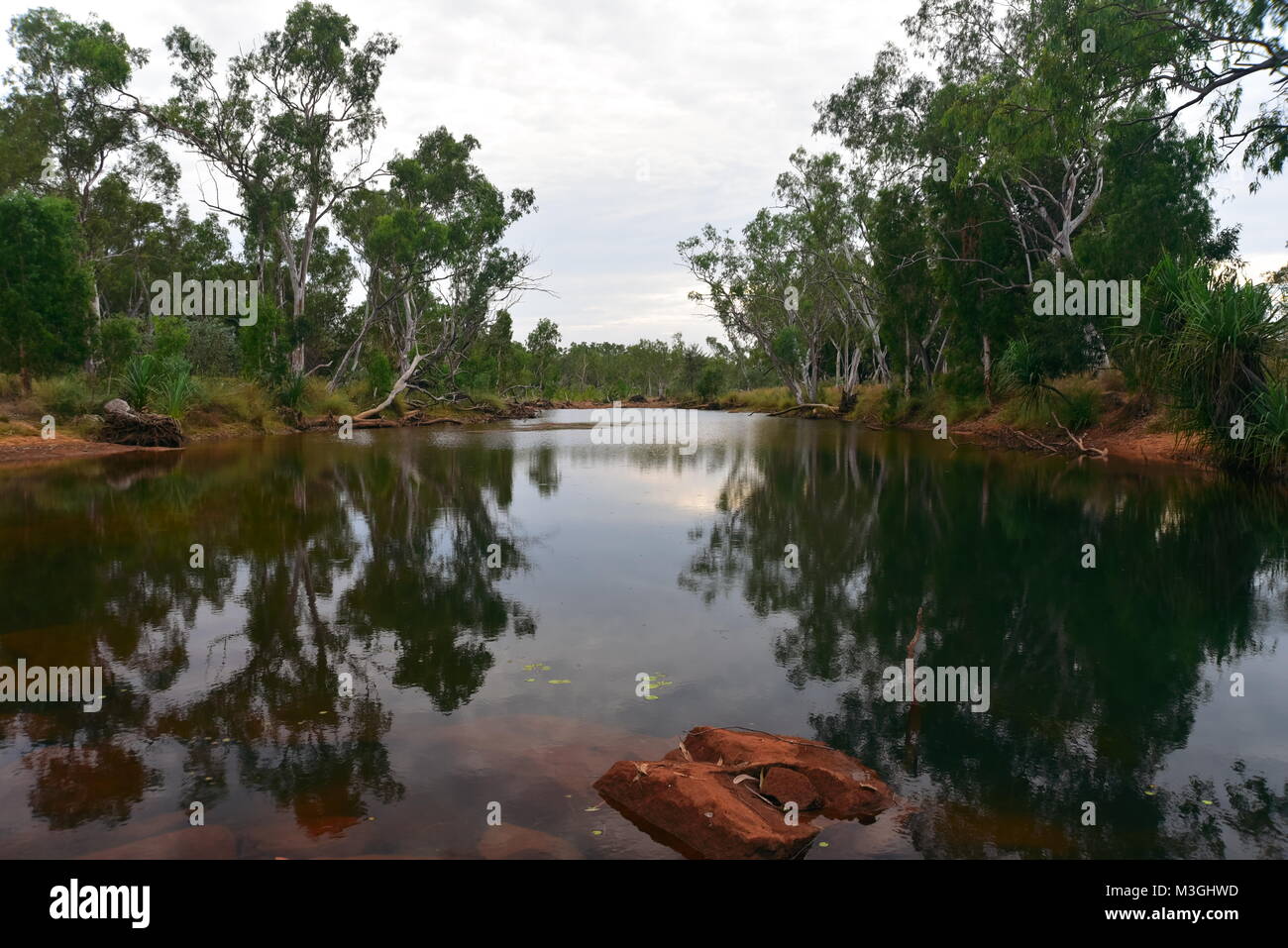 Herrliche Galvans Gorge auf der Gibb River Road Kimberly Region in Western Australia Stockfoto