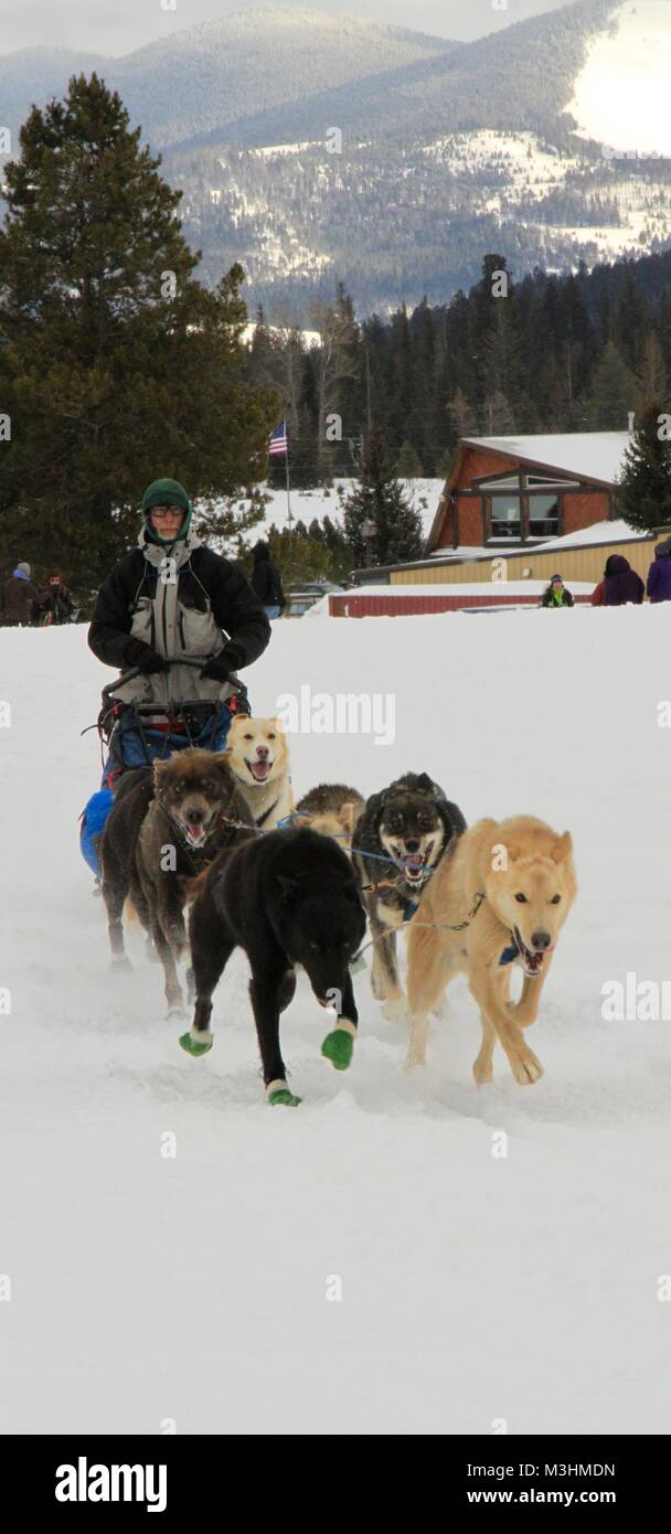 Rennen in den Himmel 2018, Montana Premier Schlitten-hunderennen, Lincoln, Montana Stockfoto