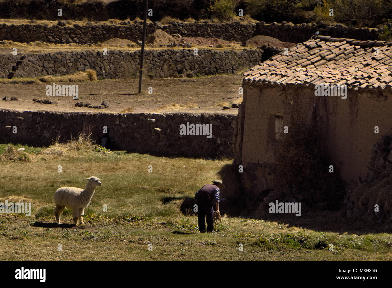 Tonziegel Hersteller (Familie) Piñipampa, Cusco Peru Stockfoto