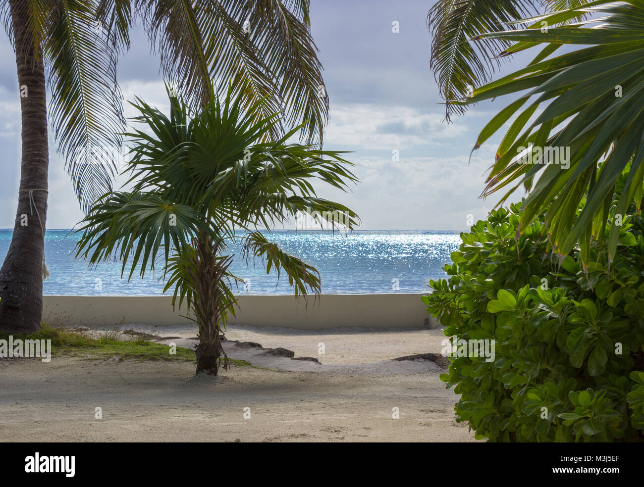 Die glitzernden Karibischen Meer legt eine atemberaubende Kulisse Bäume und Laub am Ufer des Ambergris Caye, Belize für Palm. Stockfoto