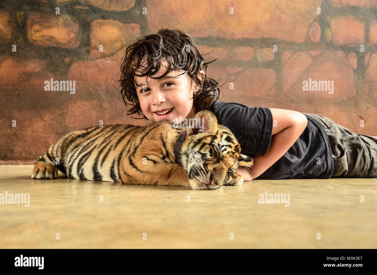 Junge und Baby Tiger Cub Stockfoto