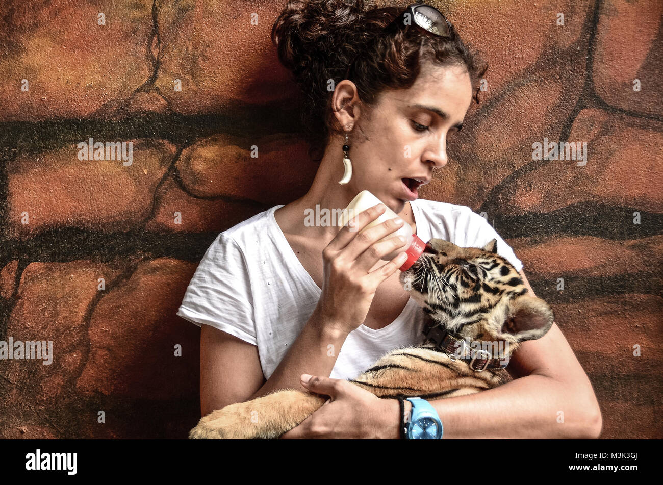 Schöne Frau Melken Baby Tiger Cub Stockfoto