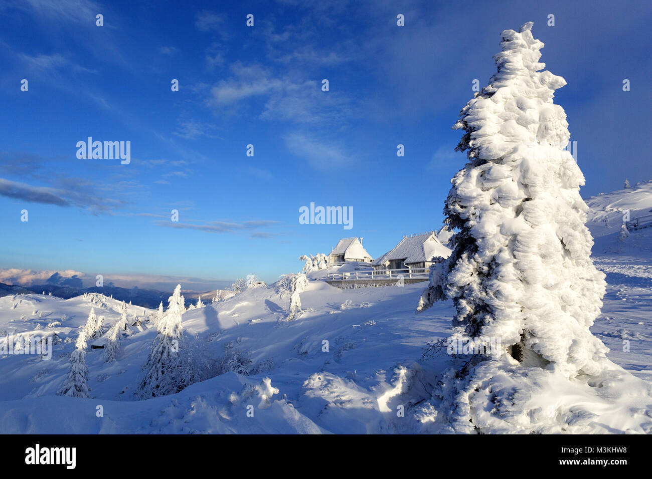 Szene Winter auf einem schneebedeckten Berg mit gefrorenen Kabinen und Pinien. Stockfoto
