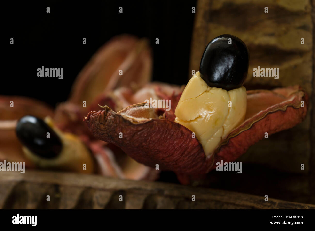 Akki pod Food still life Foto, St. Thomas, Jamaica, West Indies, Karibik Stockfoto