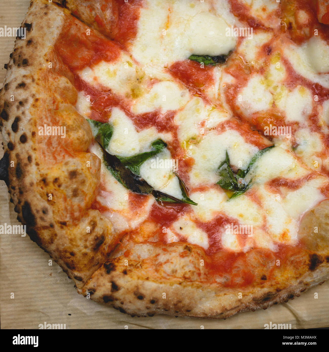 Nahaufnahme einer Margherita neapolitanischen Stil Pizza mit Büffelmozzarella, Tomatensoße und Basilikum. Quadratischen Format. Stockfoto