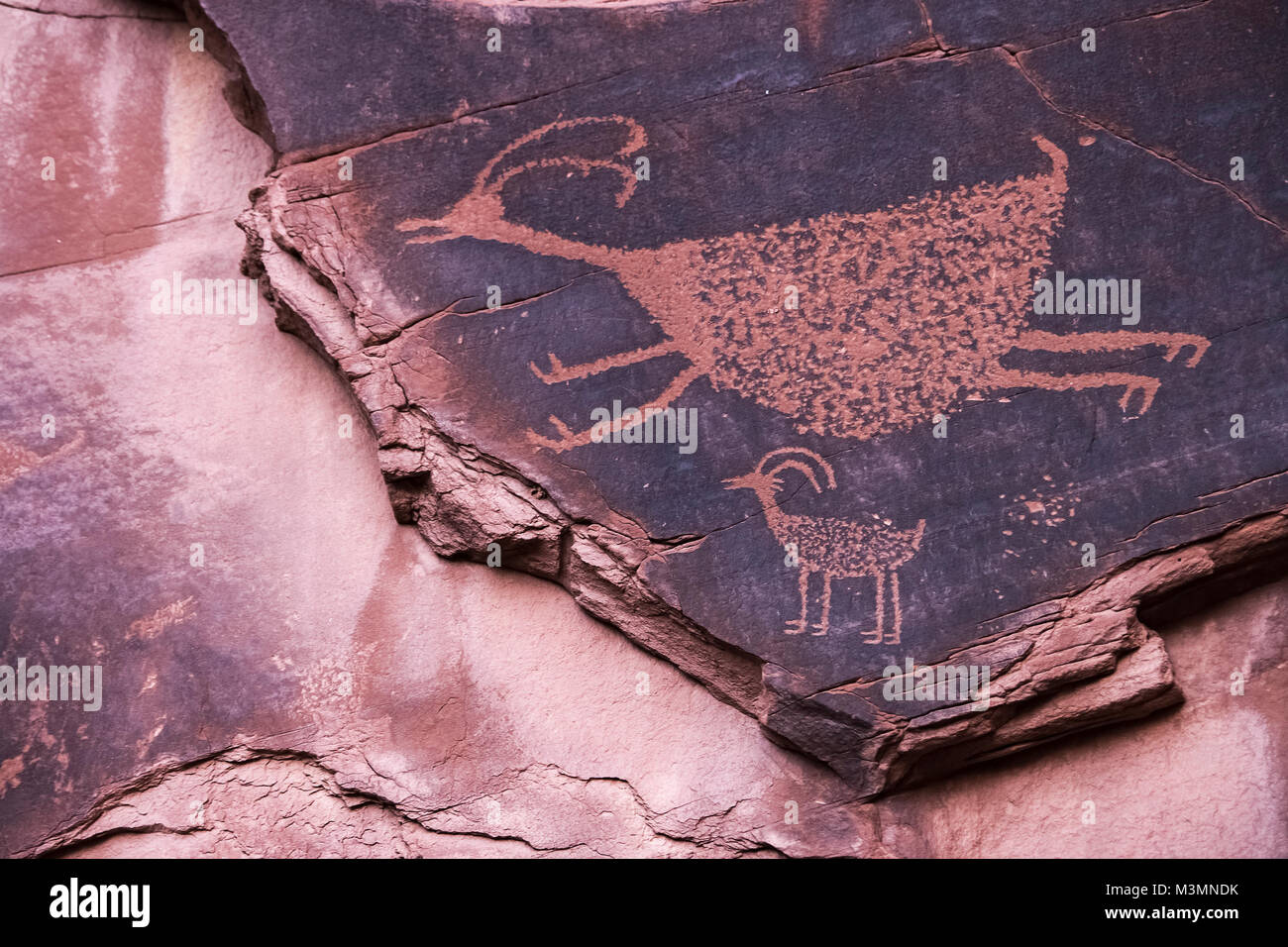 Berühmten geschnitzten Anasazi Petroglyphen, die zwei Tiere - Monument Valley National Park, Utah. Stockfoto