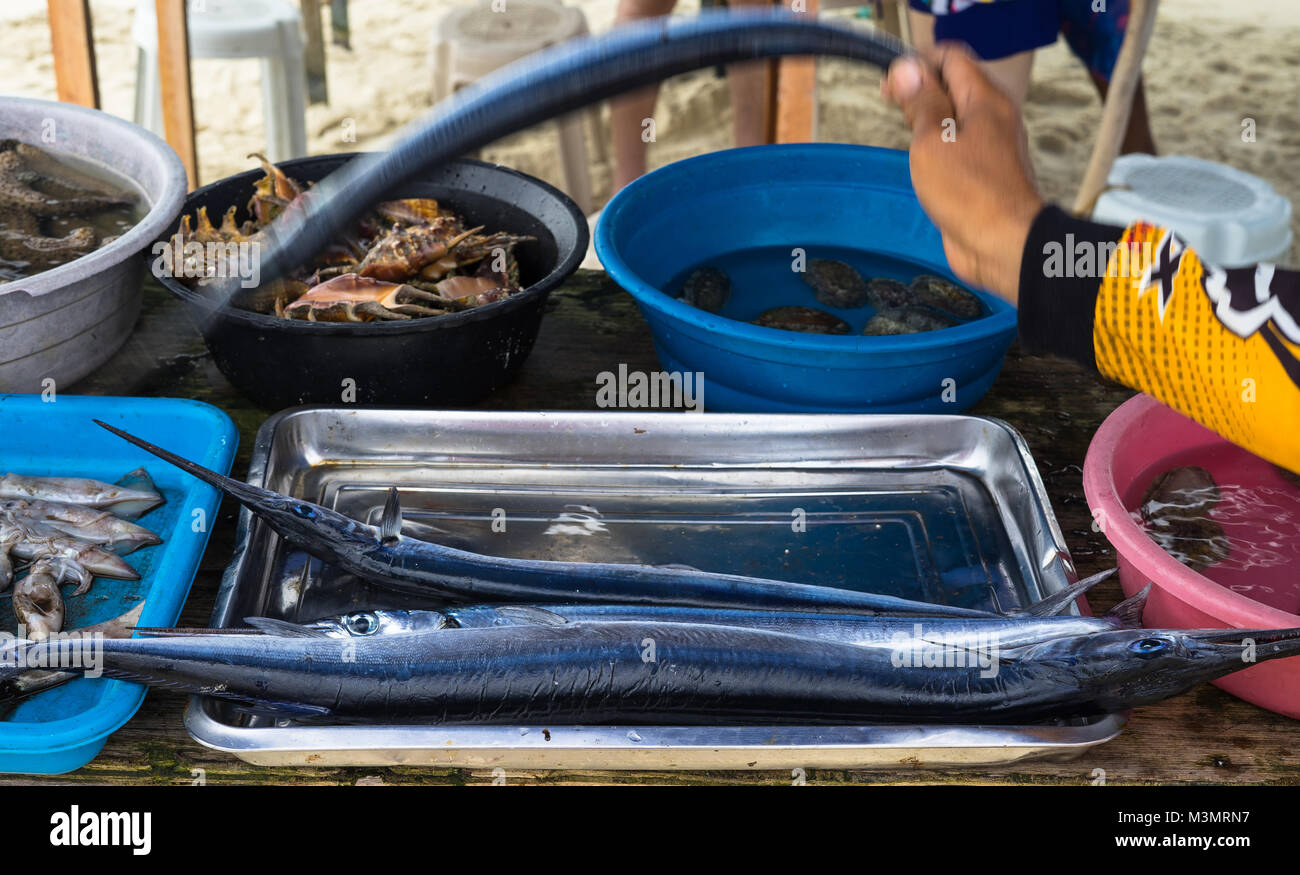 frischer Fisch Stockfoto