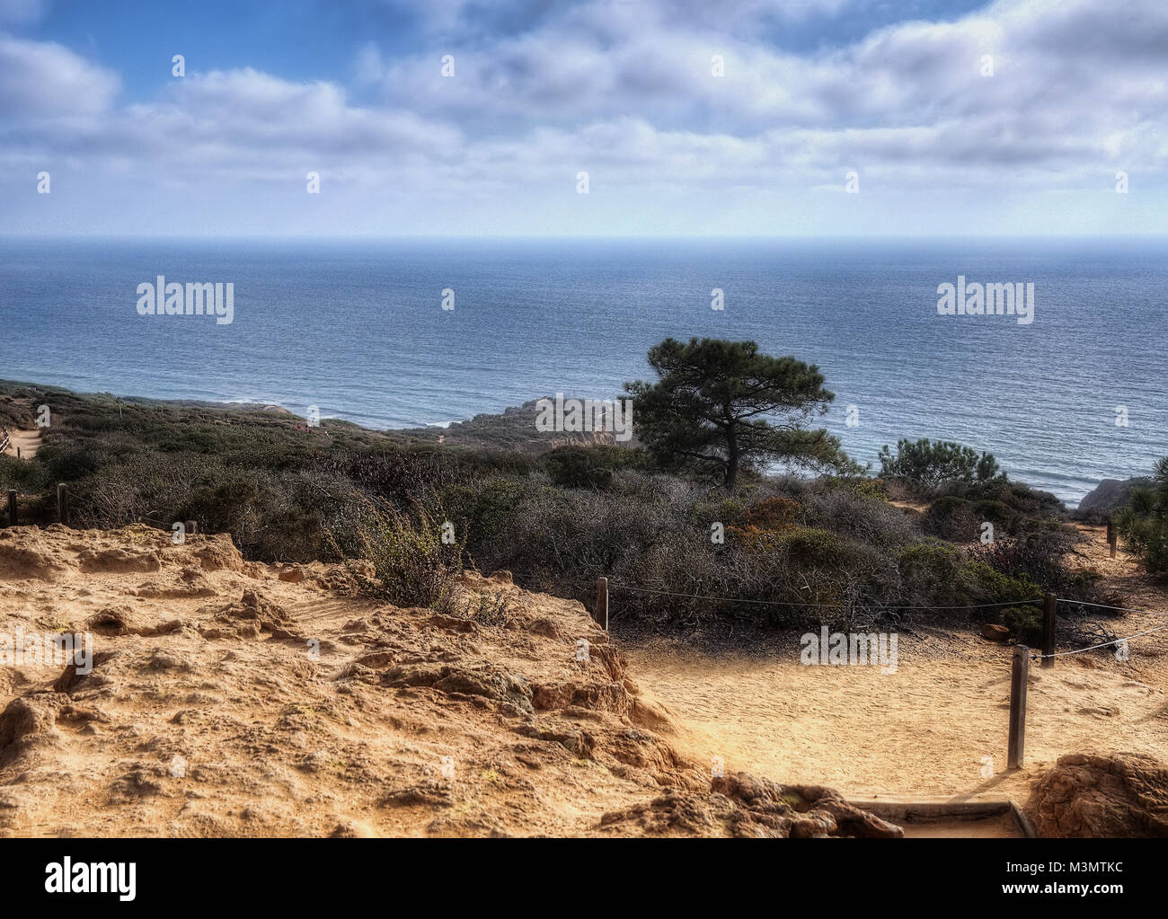 Torrey Pines State Park USA 2015 getroffen Stockfoto