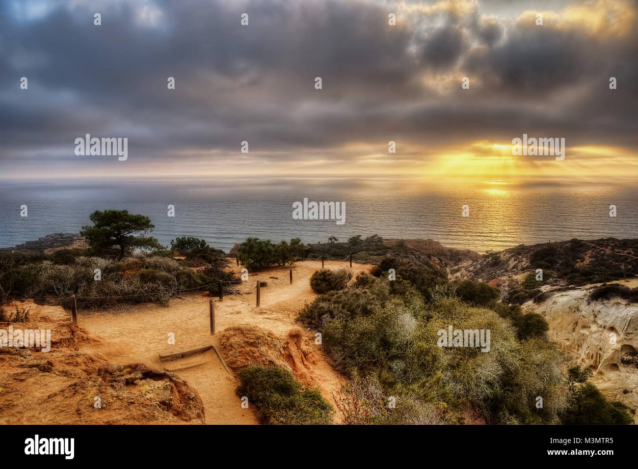 Torrey Pines State Park USA 2015 getroffen Stockfoto