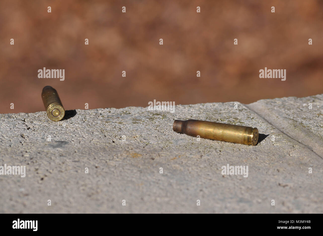 AR 15 AR 15 leere Waffe Munition Kugeln Schalen Größe 5.56 Stockfoto
