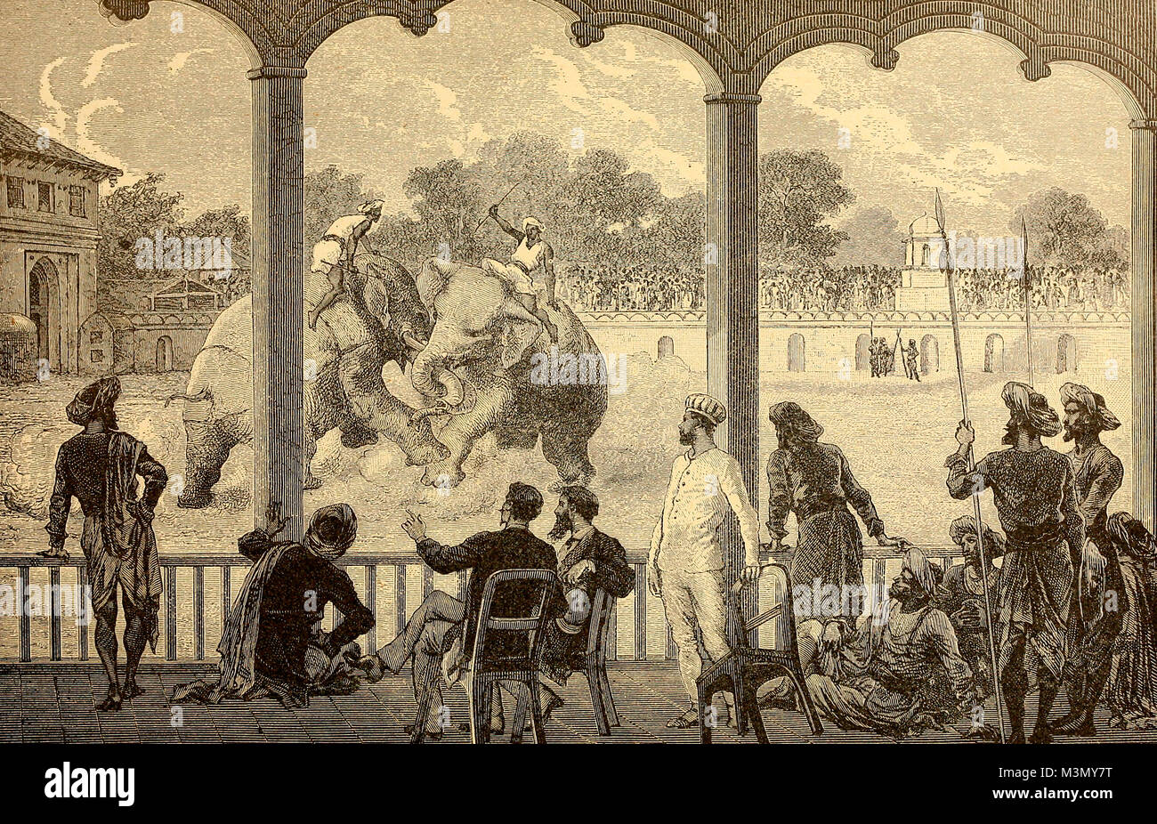 Elefant in Baroda Kampf Stockfoto