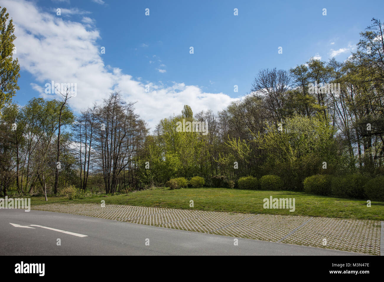 Parkplatz Streifen als Parkplatz neben Wiese und Straße mit Bäumen und Sky Stockfoto