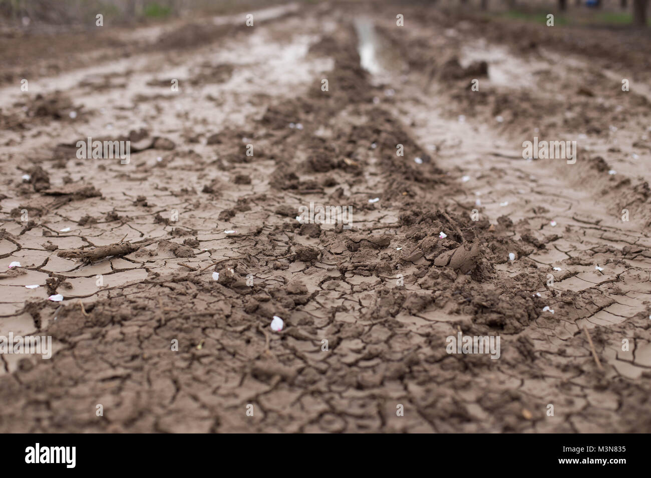 Schlamm Boden mit Titel braune Textur Hintergrund natürliche Fotografie dof Stockfoto