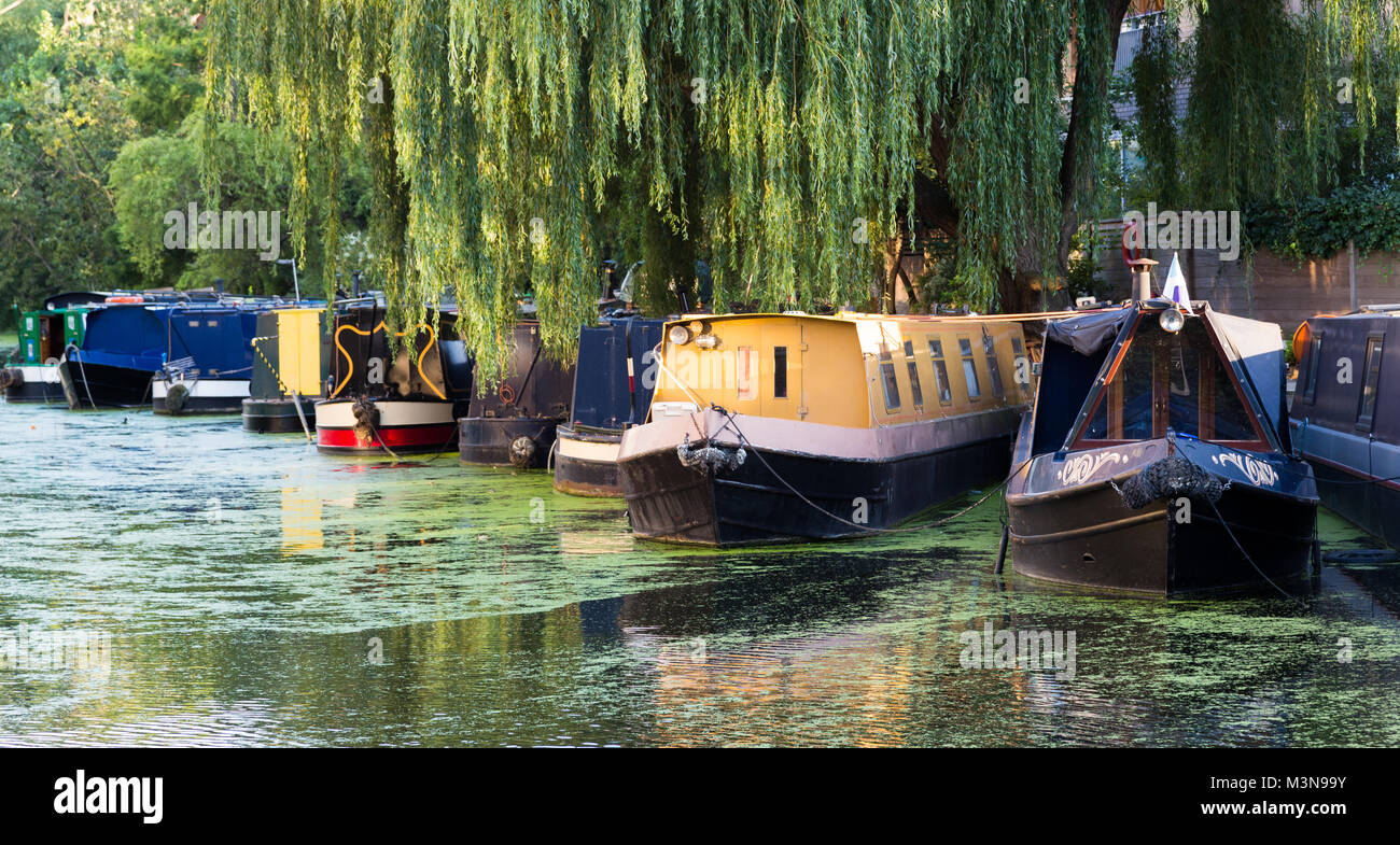 Schmale Boote entlang Islington Canal, London Stockfoto
