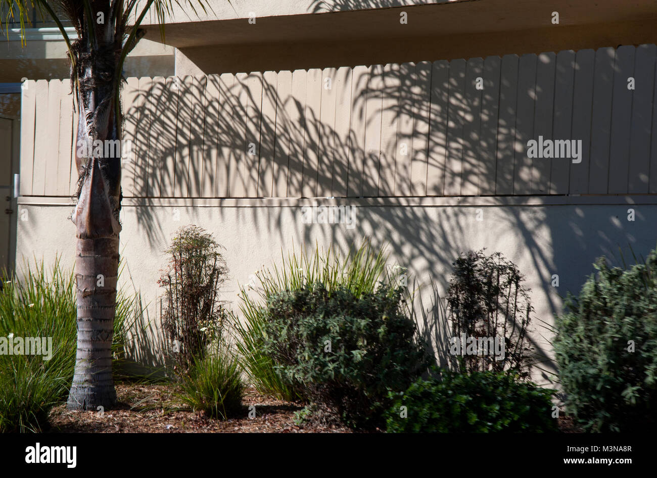 Landschaftsgestaltung im Apartment Gebäude auf Washington Blvd., Los Angeles, CA Stockfoto
