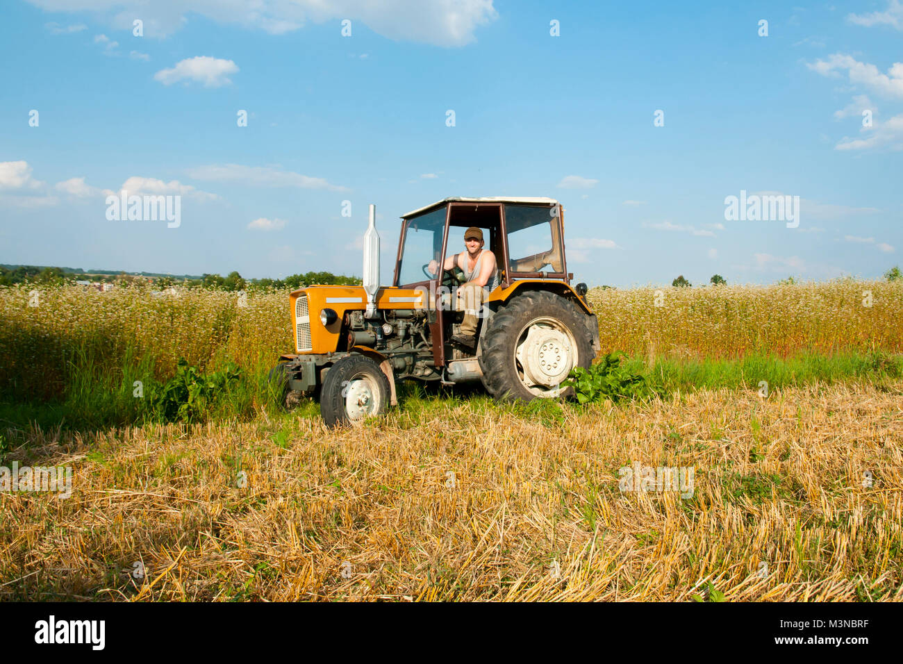 Alten Traktor mit Landwirt Stockfoto