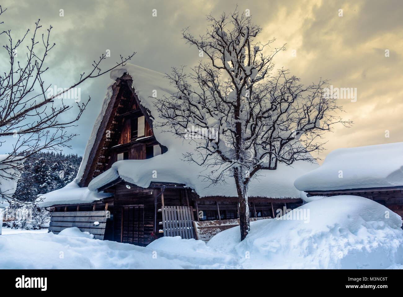 Die World Heritage Village von Shirakawago im Winter, Japan Stockfoto