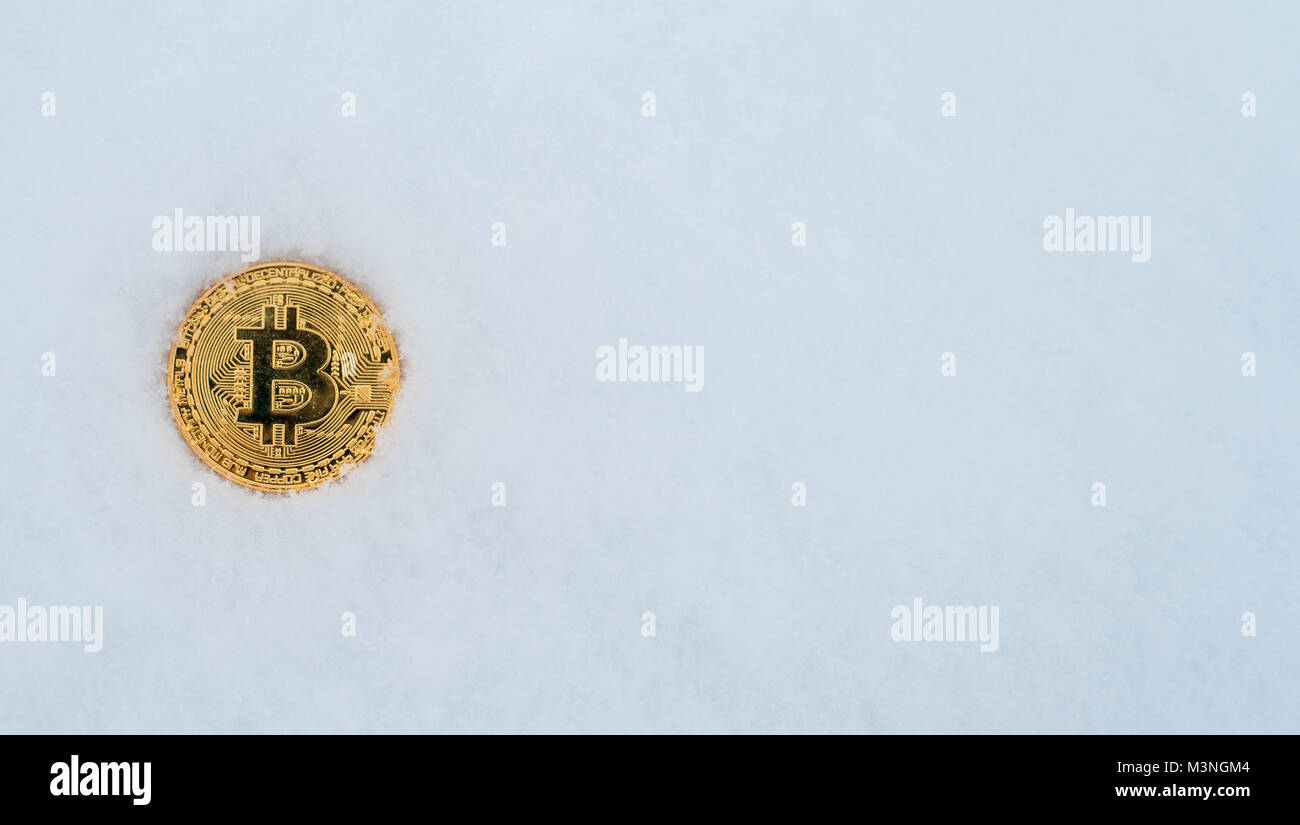 Iced Geld Währung Münze im Winter im Schnee. Gold bitcoin im Schnee allein. Auf einem weißen Hintergrund des Schnees. Stockfoto