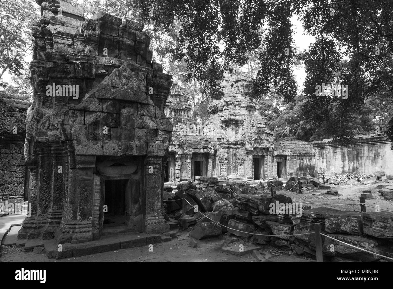 Ta Prohm ist der moderne Name der Tempel in Angkor, Provinz Siem Reap, Kambodscha, in der bayon Stil gebaut Stockfoto